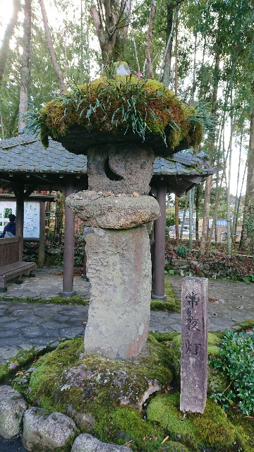 f:id:ninasimone:20201123200848j:image