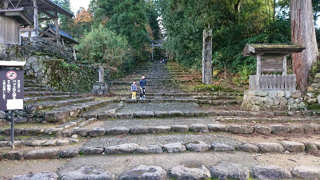 f:id:ninasimone:20201123200942j:image