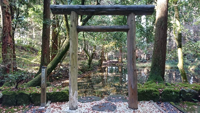 f:id:ninasimone:20201124205954j:image