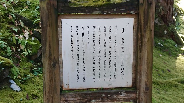 f:id:ninasimone:20201128150116j:image