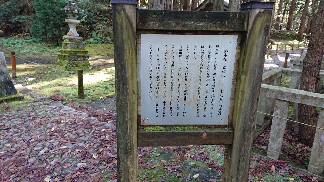 f:id:ninasimone:20201128150216j:image