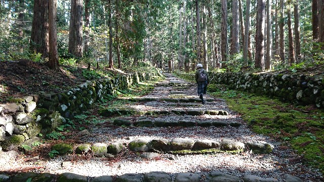 f:id:ninasimone:20201128150232j:image