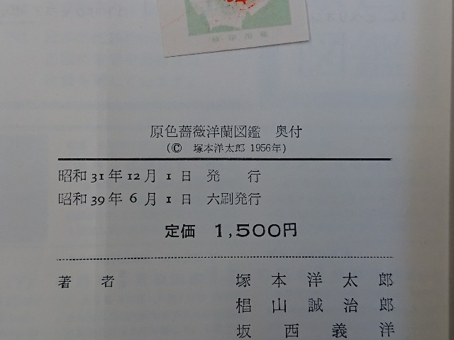 f:id:ninasimone:20210131223501j:image