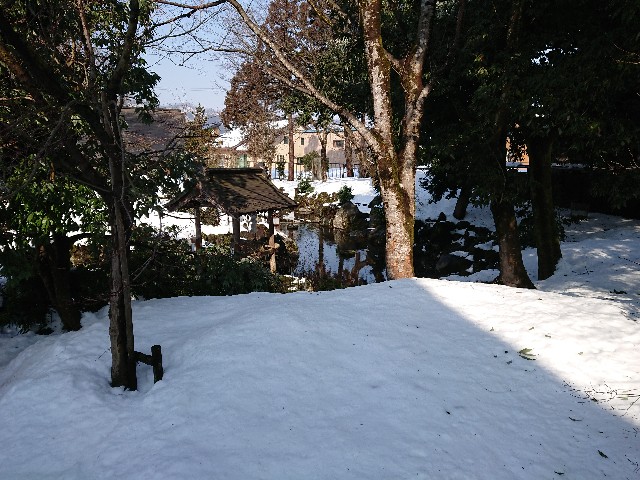 f:id:ninasimone:20210221203553j:image