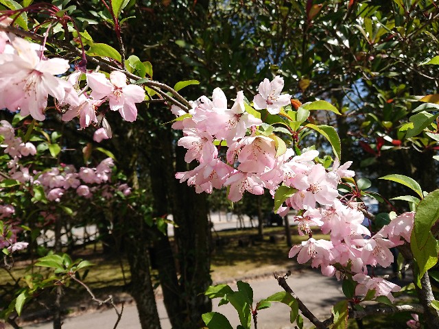 f:id:ninasimone:20210411143447j:image