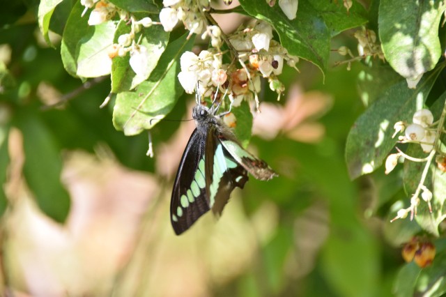 f:id:ninasimone:20210506114329j:image f:id:ninasimone:20210506114329j:image