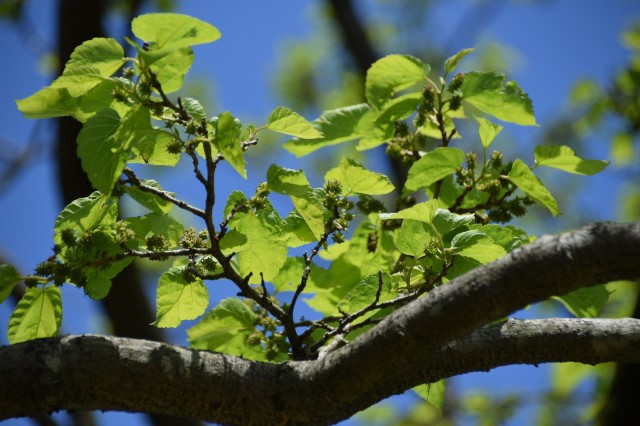 f:id:ninasimone:20210506115925j:image f:id:ninasimone:20210506115925j:image