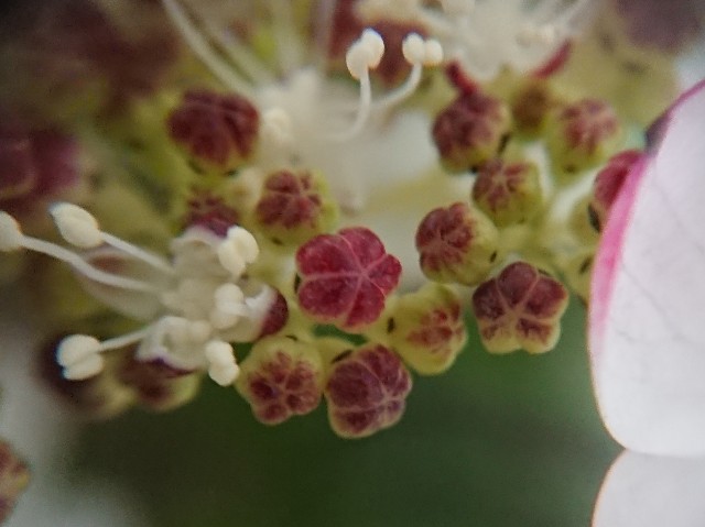 f:id:ninasimone:20210521072244j:image f:id:ninasimone:20210521072244j:image