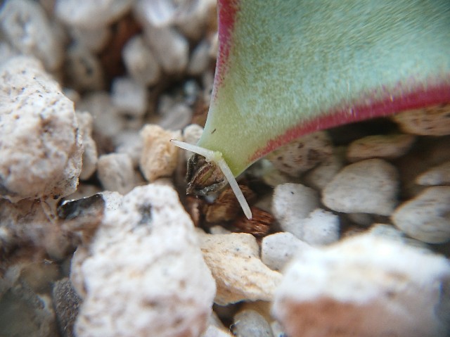 f:id:ninasimone:20210531165603j:image f:id:ninasimone:20210531165603j:image