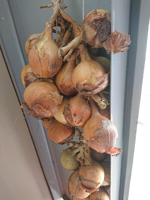 f:id:ninasimone:20210613224117j:image f:id:ninasimone:20210613224117j:image