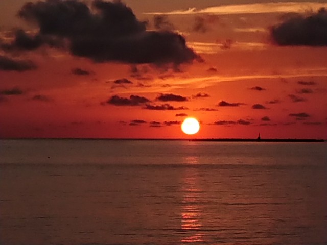 f:id:ninasimone:20210621005543j:image f:id:ninasimone:20210621005543j:image