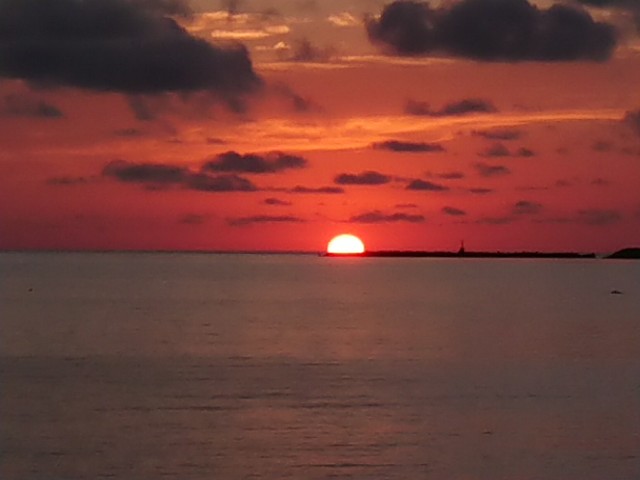 f:id:ninasimone:20210621005556j:image f:id:ninasimone:20210621005556j:image