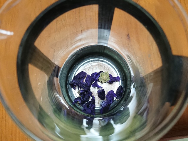 f:id:ninasimone:20210629190142j:image f:id:ninasimone:20210629190142j:image