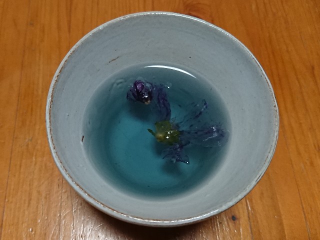 f:id:ninasimone:20210629190326j:image f:id:ninasimone:20210629190326j:image