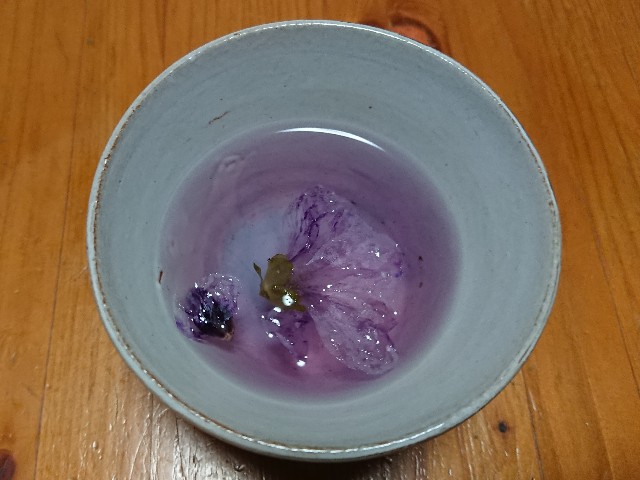 f:id:ninasimone:20210629190656j:image f:id:ninasimone:20210629190656j:image