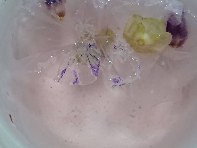 f:id:ninasimone:20210629191038j:image f:id:ninasimone:20210629191038j:image