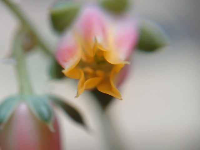 f:id:ninasimone:20210727175035j:image