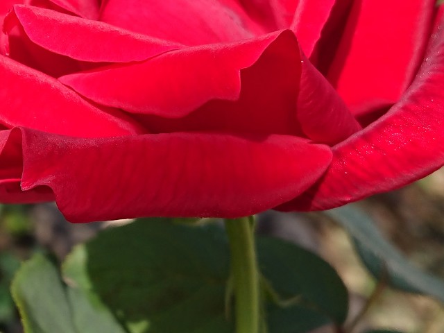 f:id:ninasimone:20211008075919j:image