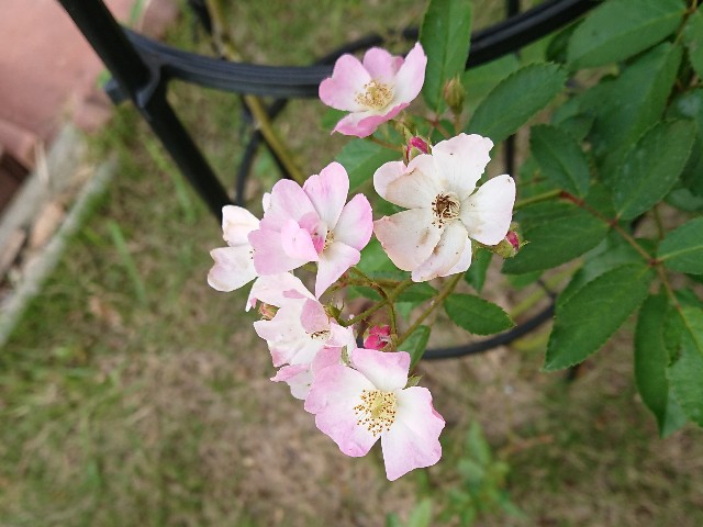 f:id:ninasimone:20211008120055j:image