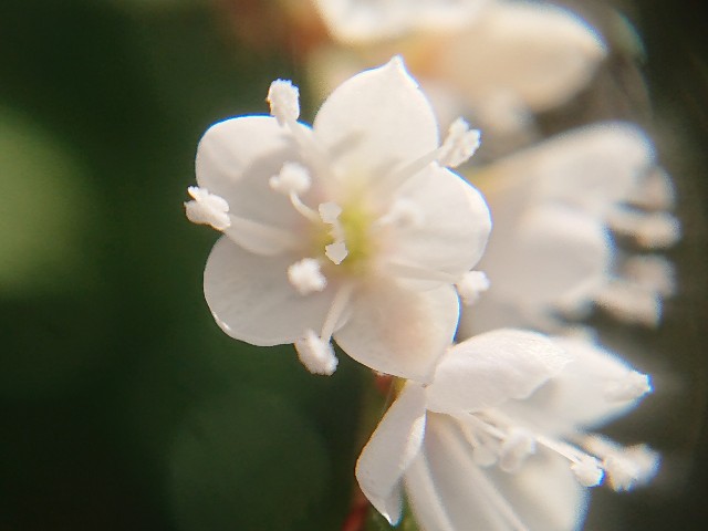 f:id:ninasimone:20211011133343j:image