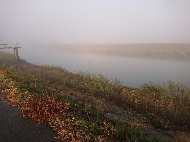 f:id:ninasimone:20211026131225j:image
