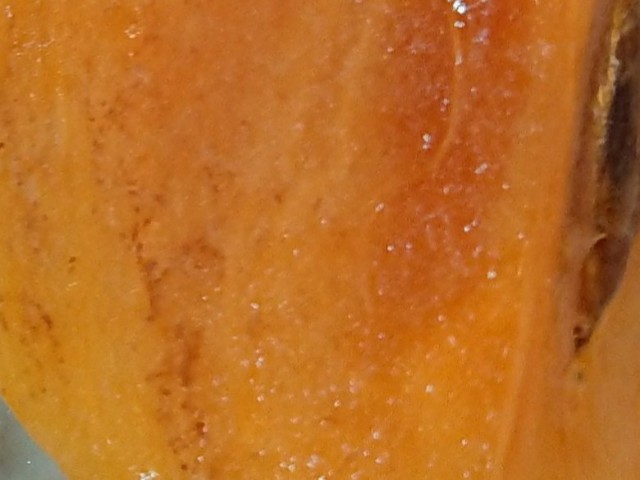 f:id:ninasimone:20211109065842j:image