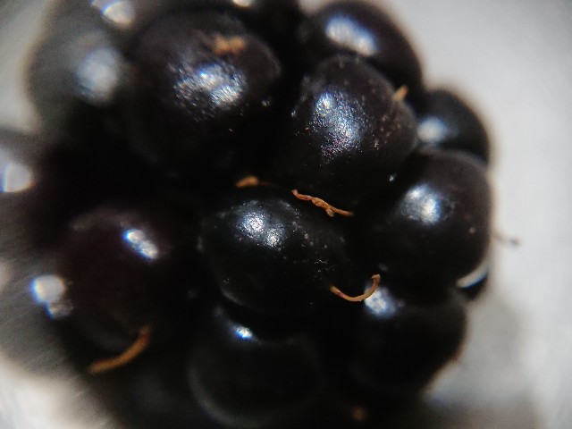f:id:ninasimone:20211120074944j:image