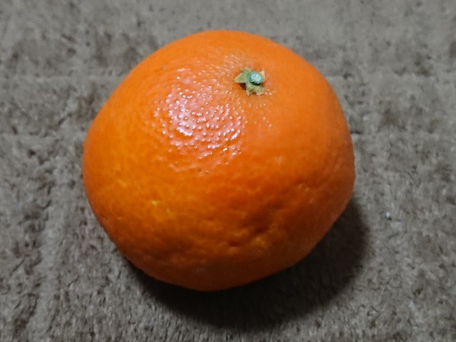 f:id:ninasimone:20211223204621j:image