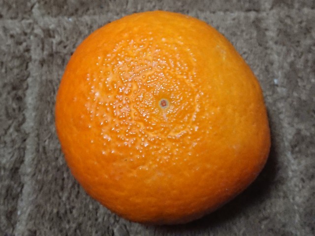 f:id:ninasimone:20211223204649j:image