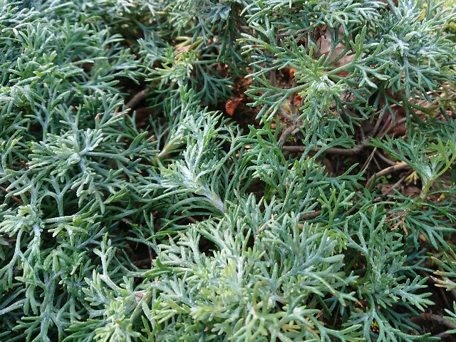 f:id:ninasimone:20220111093704j:image f:id:ninasimone:20220111093704j:image