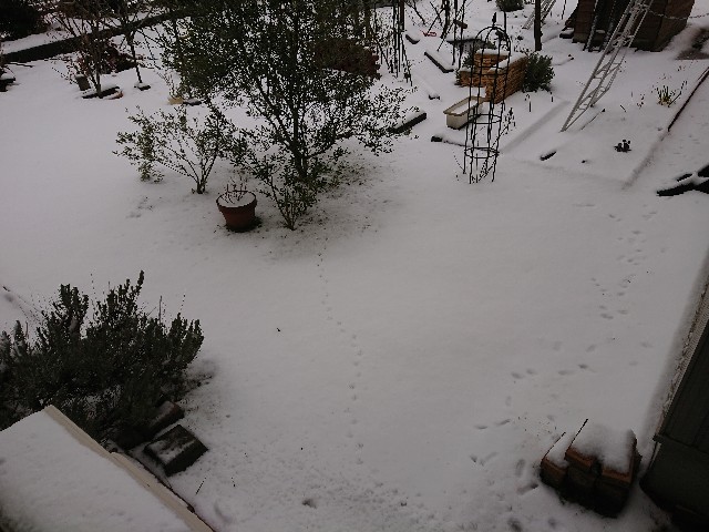 f:id:ninasimone:20220120114406j:image