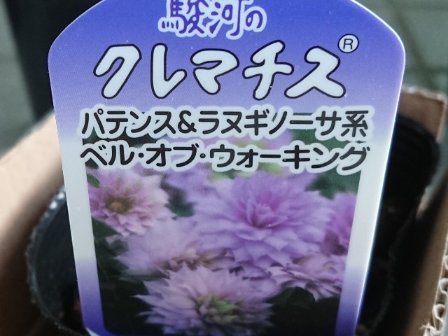 f:id:ninasimone:20220124113945j:image