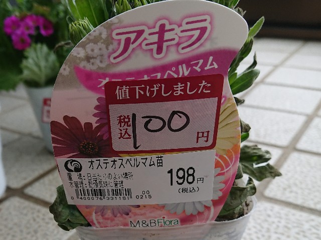 f:id:ninasimone:20220224193003j:image