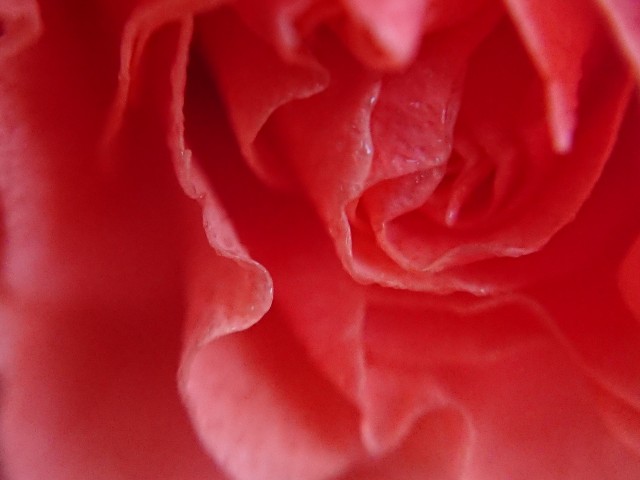 f:id:ninasimone:20220317181934j:image