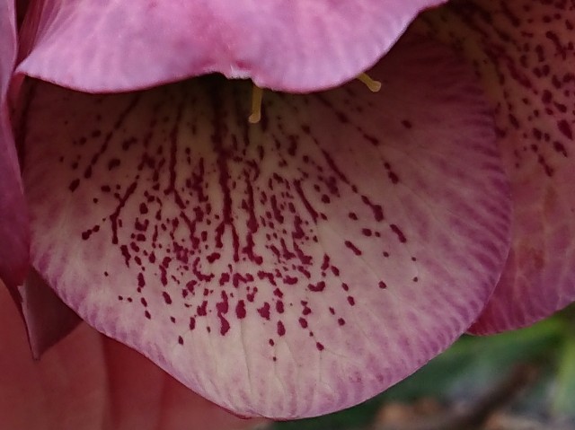 f:id:ninasimone:20220401122155j:image