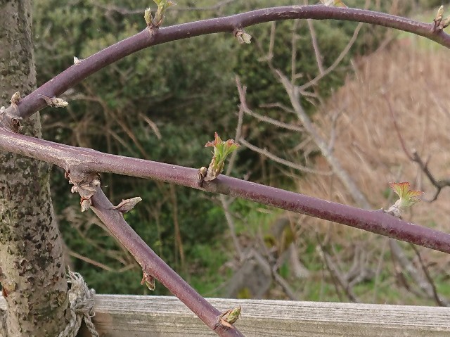 f:id:ninasimone:20220401201511j:image f:id:ninasimone:20220401201511j:image