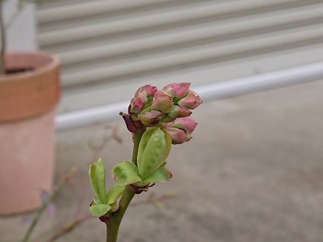 f:id:ninasimone:20220401205149j:image f:id:ninasimone:20220401205149j:image