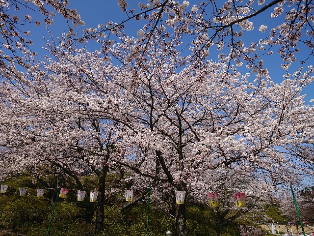 f:id:ninasimone:20220405175010j:image