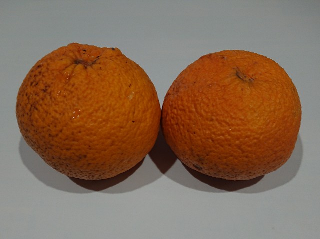 f:id:ninasimone:20220416124051j:image f:id:ninasimone:20220416124051j:image