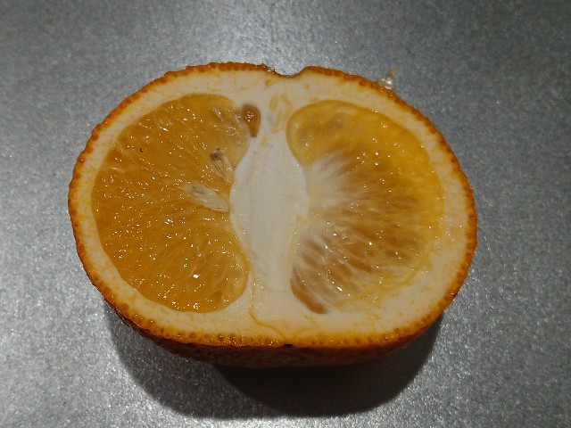 f:id:ninasimone:20220416125617j:image f:id:ninasimone:20220416125617j:image