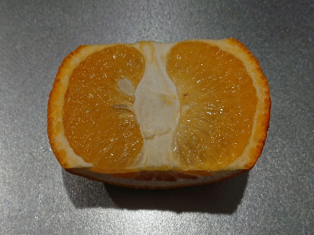 f:id:ninasimone:20220416125704j:image f:id:ninasimone:20220416125704j:image