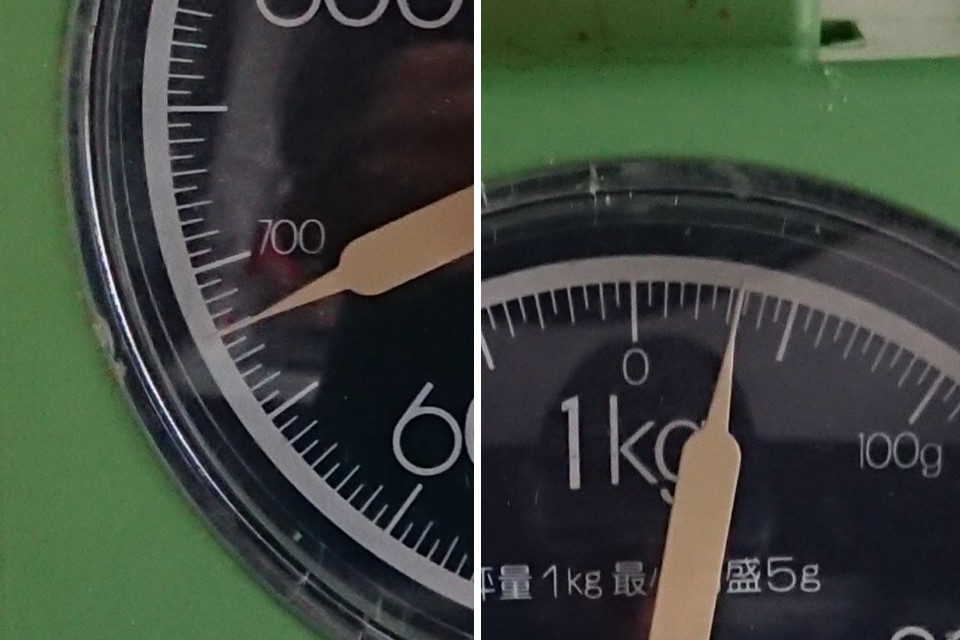 f:id:ninasimone:20220416174523j:plain