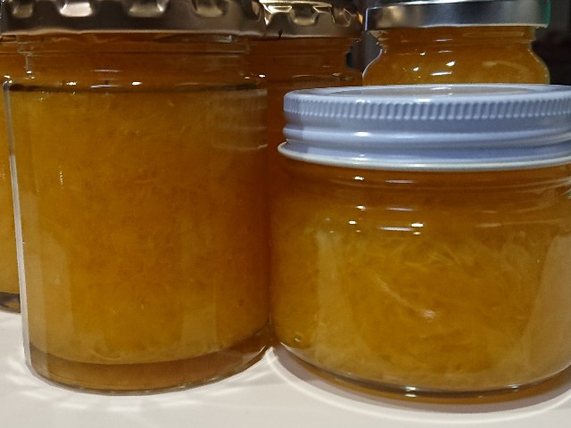 f:id:ninasimone:20220416180859j:image f:id:ninasimone:20220416180859j:image