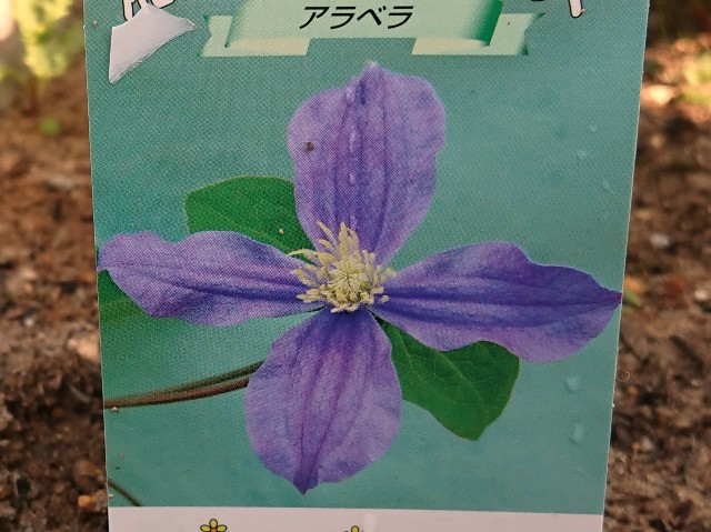 f:id:ninasimone:20220420201230j:image