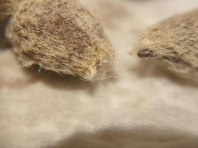 f:id:ninasimone:20220422205132j:image f:id:ninasimone:20220422205132j:image