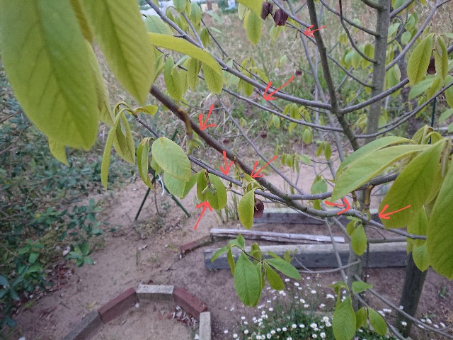 f:id:ninasimone:20220509174048j:image f:id:ninasimone:20220509174048j:image
