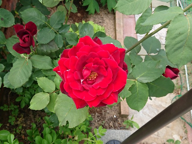 f:id:ninasimone:20220605223520j:image