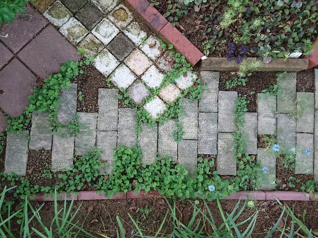 f:id:ninasimone:20220611205725j:image