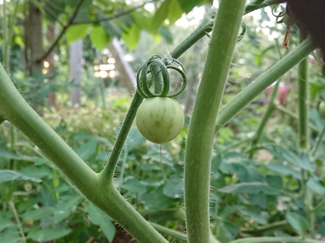 f:id:ninasimone:20220623061057j:image f:id:ninasimone:20220623061057j:image