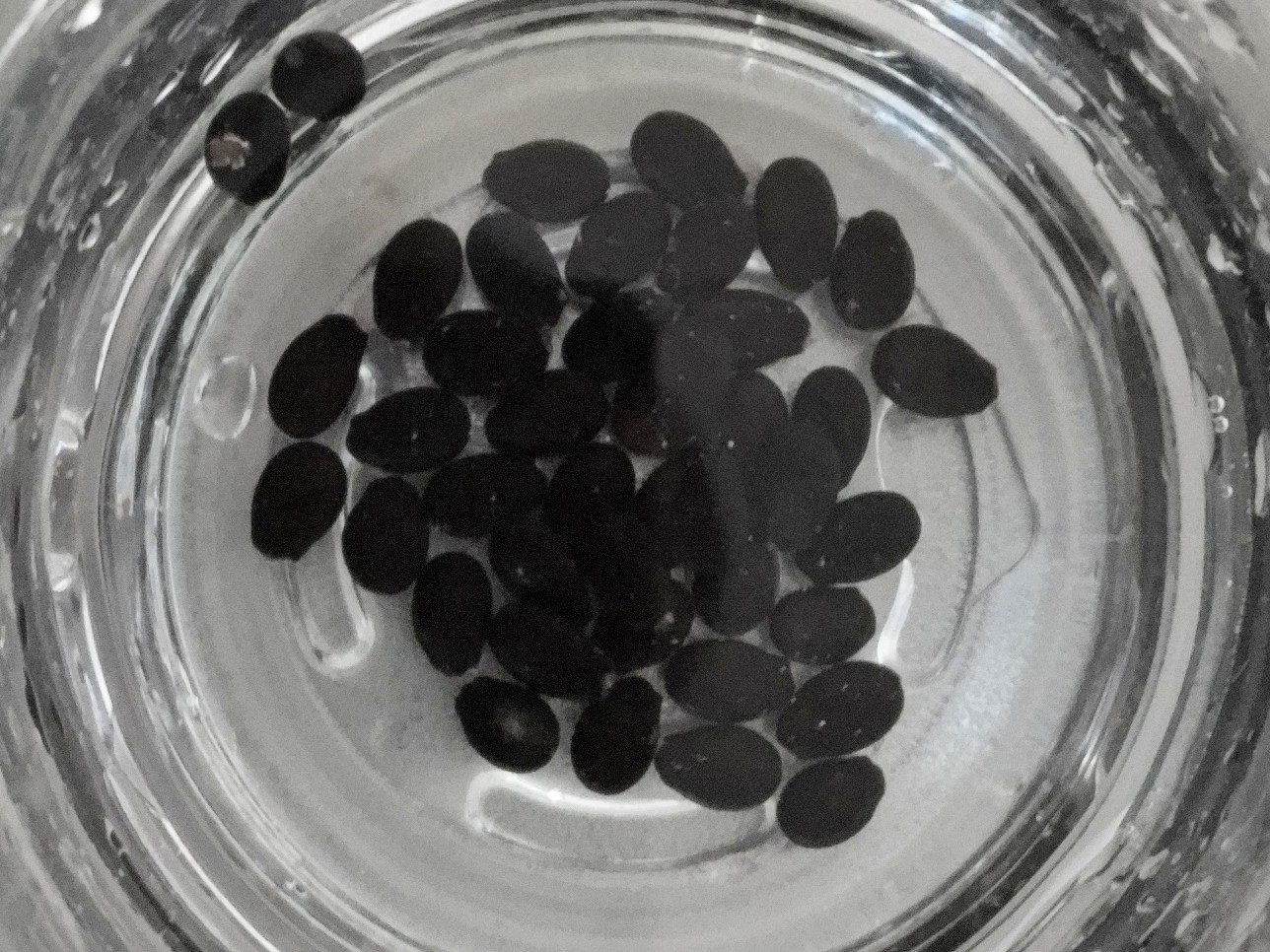 f:id:ninasimone:20220808092421j:image